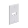 Panduit CFP2WH 1Gang 2Port Faceplate White