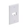Panduit CFP2WH 1Gang 2Port Faceplate White
