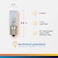 Technical Precision Replacement for SONICARE 423502504291