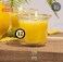 Hyoola HYOOLA Clear Cup Scented Votive Candles Citronella 12 Hour Burn Time 4 Pack European Made