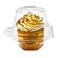 Green Direct Clear Stackable Cupcake Boxes Disposable Individual Cupcake Containers Airtight With Lid Plastic Carrier Bpa Free Cupcake 100