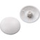 ROCKLER Hardware Outdoor Screw Cap Covers Number 2 Square Drive Screws White 100 per Pack