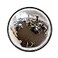 Vision Metalizers DPB1800 Acrylic Dome Mirror