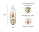 Creative Hobbies 10J Flicker Flame Light Bulb Flame Shaped E26 Standard Base Flickering Orange Glow Box of 5 Bulbs
