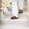 Trimaco TRIMACO 9 ft x 12 ft Stay Put Canvas Plus Drop Cloth 04321