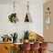 QTJUST 4Pack 4inch Wall Hook for Hanging Plant Bracket