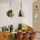 QTJUST 4Pack 4inch Wall Hook for Hanging Plant Bracket