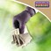 Bonide Bat Magic Bat Repellent2