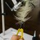 Loon Ergo Hackle Plier