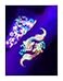 d'IRIS studio Temporary TattooGlow Koi Fish
