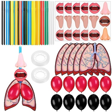 Libima 24 Sets Lung Model Respiratory System Model Toys Science Classroom Study Display Biologic Anatomy Doll and Human Body Puzzle Learning Homeschool Preschool Early Childhood Teaching Aid