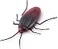 Robo Alive ZURU ROBO Alive Crawling Cockroach Series 2
