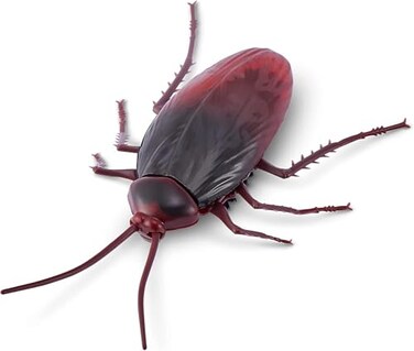 Robo Alive ZURU ROBO Alive Crawling Cockroach Series 2