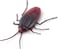 Robo Alive ZURU ROBO Alive Crawling Cockroach Series 2
