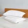 Acanva Bed Pillows for Sleeping 2 Pack Premium Microfiber Polyester Filling Soft and Supportive for Neck Pain Relief with Breathable CoverKing Pack of 2 Black