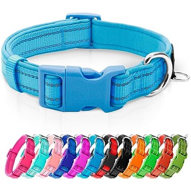 azuza Reflective Dog CollarSoft Neoprene Padded Pet Collar with ID Tag RingAdjustable for Small DogsSky BlueS