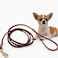 HiCaptain 13 inch Genuine Thin Leather Dog Leash for Small Dogs Soft 6ft Leather Training Dog Leash for Medium Dogs Puppy Cats Up to 15 lb