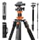 K&F CONCEPT KF CONCEPT Tripod for Camera 78 Aluminum Camera Tripod 81 Tripods Monopods Stable Heavy Duty Travel Tripod for DSLR Cameras Max Load 22 lbs