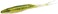 Zoom Bait 023115 Super Fluke 5 14Inch 10Pack Baby Bass