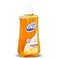 Dial Antibacterial Liquid Hand Soap Gold 75 Ounce