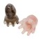 yueton 2PCS Octopus Scalp Massager Gua Sha Head Body Relaxing Creative 8 Tentacles Head Scratcher Fun Massage Tool Comb for Women Men