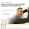 أسيتيل إل كارنيتين من شركة Integrative Therapeutics يدعم إنتاج الطاقة الخلوية لنمط حياة نشط، ويدعم وظائف الخلايا العصبية. نباتي، خالٍ من الغلوتين، 60 كبسولة.