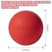 Aegero Massage Lacrosse Balls for Myofascial ReleaseYoga Deep Tissue MassageTrigger Point Therapy and Foot Plantar FasciitisMuscle Soreness Massager Ball 2Pack Blue