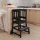 Dream On Me 2in1 Funtastic Toddler Tower Kitchen Step Stool Black