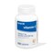 MAJOR Vitamin C 250 Mg Dietary Supplement 100 Tablets 1 Pack