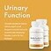 Stop Aging Now BladderControl360 Formula Bladder Control Support GoLess Probiotics Urinary Health Probiotic Supplement Lactobacillus Rhamnosus Pumpkin Seed Soy Germ Extracts 60 Vcaps