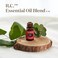 مزيج الزيوت العطرية من يونغ ليفينغ RC، 100% عطر نقي ومنعش، للاستخدام الموضعي في أجهزة التبخير، 5 مل