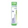 Boiron Echinacea 6X for Sore Throat Pain with Fatigue 80 Pellets