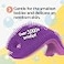 Innobaby Bathin Smart Silicone Sensory Fish Bath Scrub for Babies and Toddlers Purple