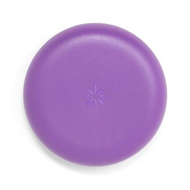 INVISALIGN Aligner and Retainer Case Purple