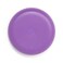 INVISALIGN Aligner and Retainer Case Purple