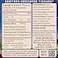 WishGarden Herbs KickAss Allergy Sinus Herbal Allergy Sinus Relief Liquid Tincture NonDrowsy Supports Healthy Histamine Response Echinacea Nettle Yerba Santa 4oz