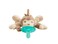 Philips AVENT Soothie Snuggle Pacifier Holder with Detachable Pacifier 0m Monkey SCF34702
