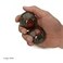 Top Chi Bloodstone Baoding Balls for Hand Therapy Exercise and Stress Relief Large 2 Inch with Stand
