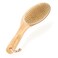 Purple Canyon Body Brush Natural Boar Bristle Dry Brush for Exfoliating Lymphatic Drainage Cellulite Appearance and Circulation Curved Wooden Handle for Easy Back Body Brushing