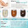 Lecaung Ionic Detox Foot Bath Machine Personal Ionic Foot Cleanse Ionic Foot Bath SPA Machine Foot Detox System for Home Beauty Salon Spa with Basin 100 Liners