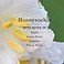 Mrs. MEYER'S Mrs Meyers Clean Day Liquid Hand Soap Refill Honeysuckle 33 Oz