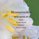 Mrs. MEYER'S Mrs Meyers Clean Day Liquid Hand Soap Refill Honeysuckle 33 Oz