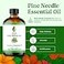 SVA ORGANICS SVA Pine Needle Essential Oil 4 Fl Oz for Diffuser Skin Hair Care Ideal for Massage DIY Blends with Dropper