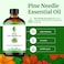 SVA ORGANICS SVA Pine Needle Essential Oil 4 Fl Oz for Diffuser Skin Hair Care Ideal for Massage DIY Blends with Dropper