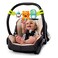 Bright Starts Take Along Musical Carrier Baby Activity Toy Bar Hanging Car Seat Toy 4 Fun Melodies Fine Motor Skill Development Ages Newborn MultiColor