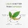 Secrets of the Tribe Black Walnut USDA Organic AlcoholFree Extract HighPotency Herbal Drops Made from 100 Black Walnut Juglans Nigra Dried Hull 4 oz