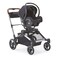 Contours Infant Car Seat Adapter Accessory Exclusive Compatibility with Element Baby Stroller Fits Select Cybex MaxiCOSI and Nuna Models Check Compatibility Prior to Purchase Black