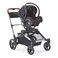Contours Infant Car Seat Adapter Accessory Exclusive Compatibility with Element Baby Stroller Fits Select Cybex MaxiCOSI and Nuna Models Check Compatibility Prior to Purchase Black
