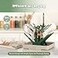 haakaa Portable Baby Bottle Drying Rack with TrayFoldable Space Saving Bottle Drying Tree for BottlesPump PartsPacifiersEasyStore Dryer Rack Great for Travel Home BPA Free Green