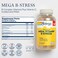 SOLARAY Mega Vitamin BStress Timed Release Vitamin B Complex wVitamin B12 B6 Folic Acid VIT C Stress Energy Red Blood Cell Immune Support Vegan 276 CT